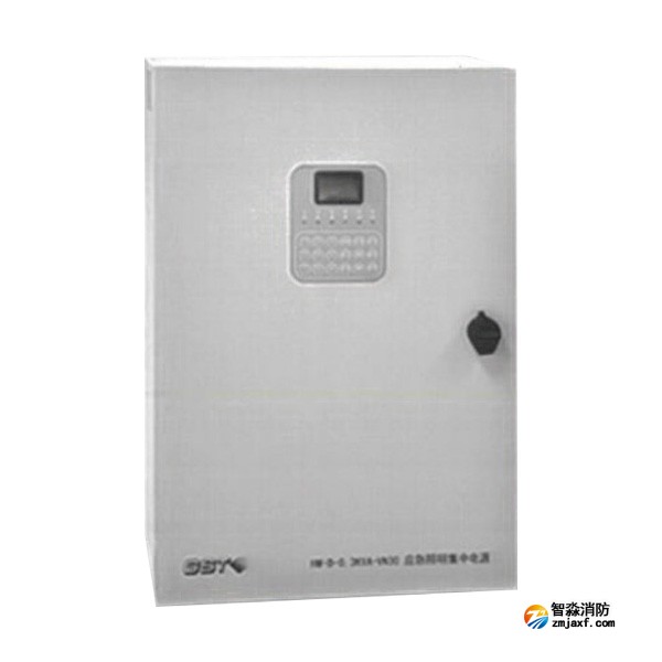 海南海湾HW-D-0.3KVA-VN30应急照明集中电源（消防应急灯具专用应急电源）