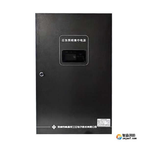 海南海湾SJ-D-0.6KVA/P601AC应急照明集中电源 4回路 壁挂式